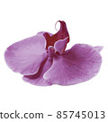 Decorative branch Pink orchid flower. Vector illustration 85745013