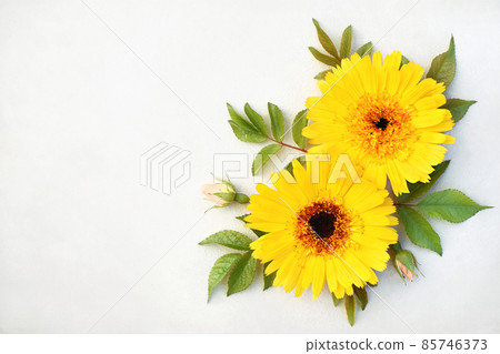 Summer or autumn blossoming chrysanthemum and pot marigold (calendula) flowers orange background, bright festive floral card Summer or autumn blossoming chrysanthemum and pot marigold (calendula) flowers orange background, bright festive floral card 85746373