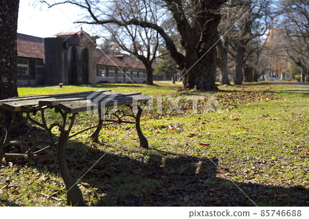 Beautiful ranch scenery on an autumn day 85746688