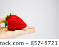 Put one big strawberry on the palm (studio shot) 85748721