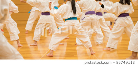Children practicing karate at the dojo 85749118