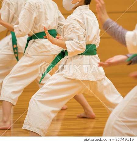 孩子們在道場練習空手道 85749119