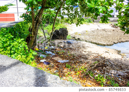 Garbage in Caribbean in Costa Rica thrown by tourists and local people 85749833