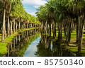 Clear streams 85750340