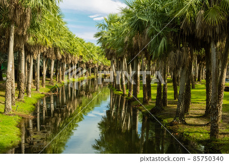 Clear streams Clear streams 85750340