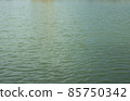 sea 85750342