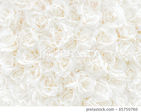 White roses, lots of flowers, background material, soft processing White roses, lots of flowers, background material, soft processing 85750760