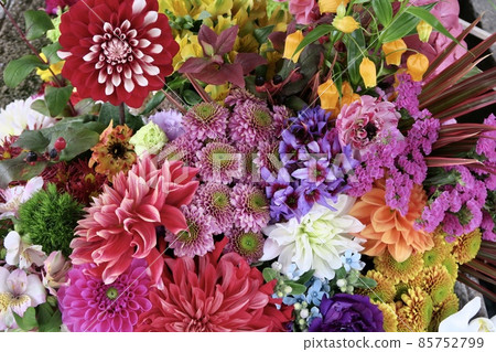 Gorgeous flowers 85752799