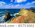 Scenery seen from Ogasawara Manju Cape 85753002