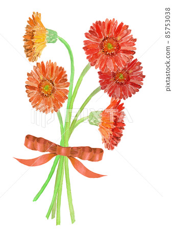 用絲帶捆綁的一束橙色非洲菊的水彩插圖 85753038