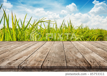 Wooden table top montage photo with paddy rice plantation against blue sky with soft clouds , product Display background concept 85753311