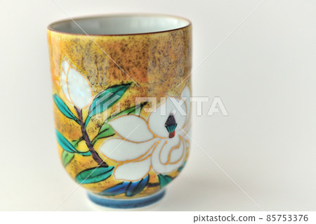 Taizanoki Kutani-yaki的火鍋 Taizanoki Kutani-yaki的火鍋 85753376