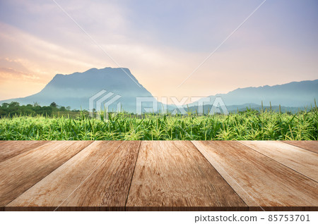 Wooden table top with Corn field against twilight purple sky Product display background concept Wooden table top with Corn field against twilight purple sky Product display background concept 85753701