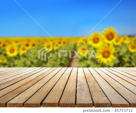 Blurry sunflower field background montage photo with wooden table top Product display backgorund concept Blurry sunflower field background montage photo with wooden table top Product display backgorund concept 85753712