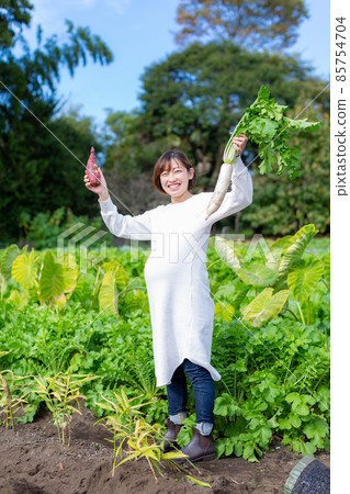 Maternity photo farmer's wife 85754704