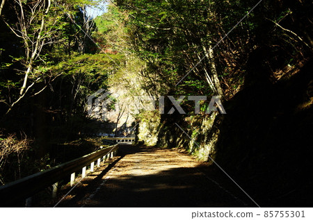 到愛媛縣滑床峽的黑村林道 85755301
