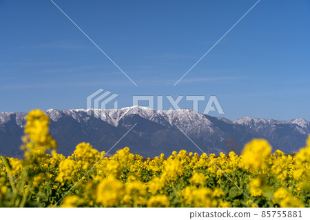 Hirahara強姦花和雪Hiruyama山脈 85755881