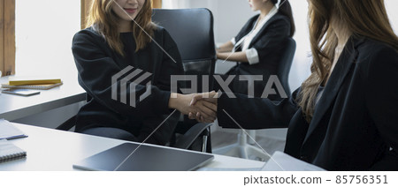 Two sucsessful businesspeople shaking hands after negotiations or finishing up meeting. Two sucsessful businesspeople shaking hands after negotiations or finishing up meeting. 85756351
