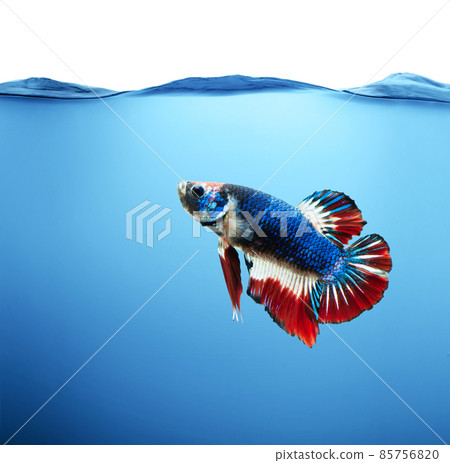 Pure and Clear Water Background With Small Ripples Pure and Clear Water Background With Small Ripples 85756820