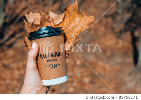 Eco zero waste paper cup with text AUTUMN mood on. Woman holding fall leaves and cup of tea coffee next to autumn nature. Eco zero waste paper cup with text AUTUMN mood on. Woman holding fall leaves and cup of tea coffee next to autumn nature. 85758171