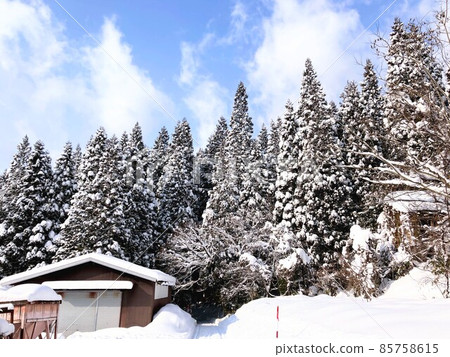 大雪天② 85758615