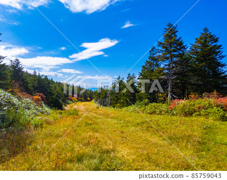 秋季無人滑雪場路線（山形縣藏王溫泉滑雪場） 85759043
