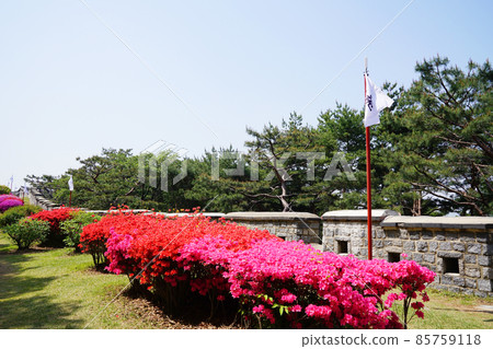 水原華城要塞春季 水原華城要塞春季 85759118