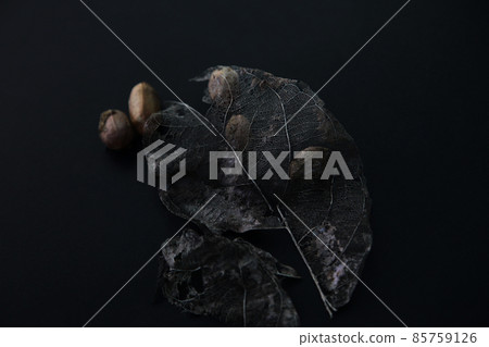Picked up winter scenery, dead leaves and nuts, life and death 85759126