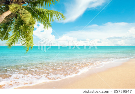 Coconut tree with sandy beach against blue sky and soft clouds Summer background concept 85759847