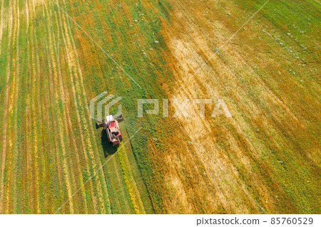 Aerial View Of Rural Landscape. Combine Harvester Working In Field, Collects Seeds. Harvesting Of Wheat In Late Summer. Agricultural Machine Collecting Golden Ripe. Bird's-eye Drone View 85760529