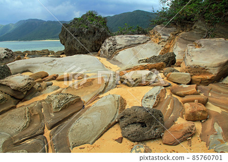 A strange rock on the beach of Haemi, Iriomote Island, Okinawa 85760701