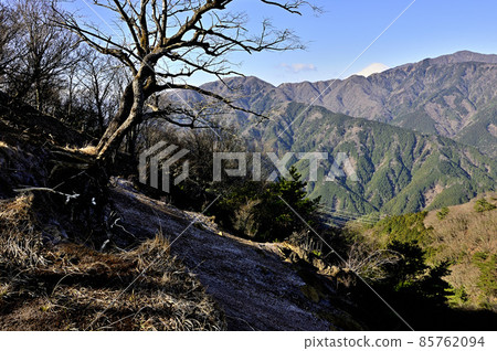 從丹澤小山北根水日之玉看富士山 85762094
