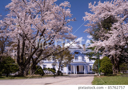 Cherry blossoms and Hoheikan (Sapporo Nakajima Park)_8018 Cherry blossoms and Hoheikan (Sapporo Nakajima Park)_8018 85762757