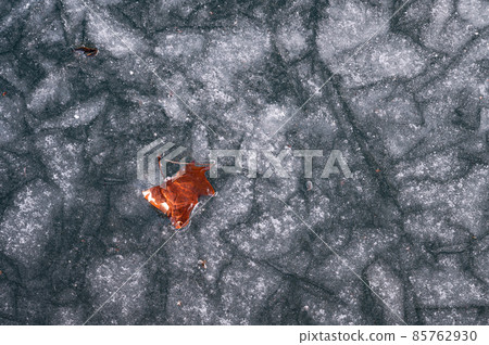 落葉在冰上 85762930