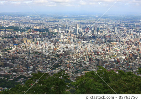 從Mt. Moiwa看到的札幌街道 85763750