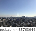 東京與天空樹的景色 85763944