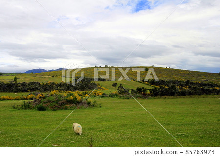 New Zealand_Te Anau 36 85763973