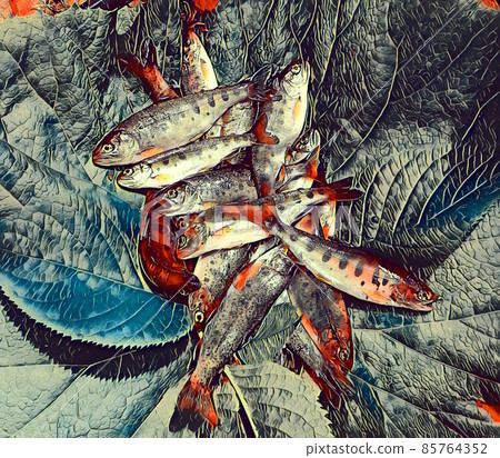 山部大捕 85764352