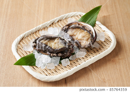 Domestic Ezo Abalone Domestic Ezo Abalone 85764359