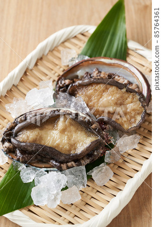 Domestic Ezo Abalone 85764361