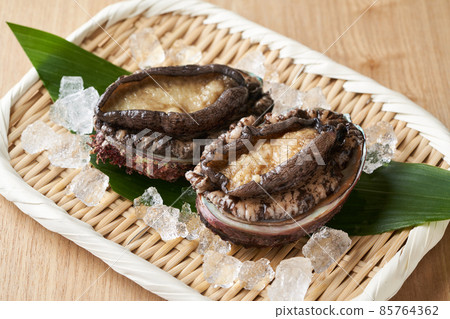 Domestic Ezo Abalone Domestic Ezo Abalone 85764362