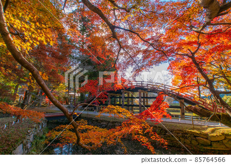 和歌山縣伊東郡葛城町秋色牛津姬神社太鼓橋 和歌山縣伊東郡葛城町秋色牛津姬神社太鼓橋 85764566