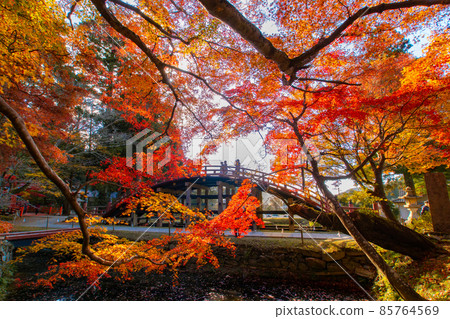 Autumn-colored Niutsuhime Shrine Taikobashi, Katsuragi-cho, Ito-gun, Wakayama Prefecture Autumn-colored Niutsuhime Shrine Taikobashi, Katsuragi-cho, Ito-gun, Wakayama Prefecture 85764569