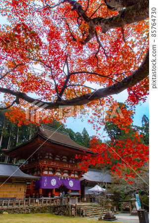 和歌山縣伊東郡葛城町秋 牛津姬神社太子橋 85764730