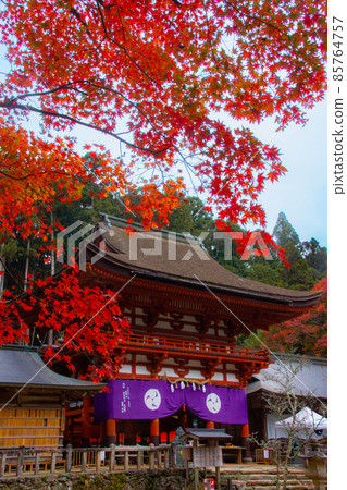 Scenery of Niutsuhime Shrine in autumn Katsuragi-cho, Ito-gun, Wakayama Prefecture Scenery of Niutsuhime Shrine in autumn Katsuragi-cho, Ito-gun, Wakayama Prefecture 85764757