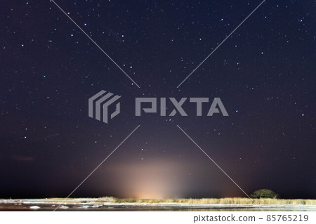 Quadrantids meteor shower and Honbetsukai Ipponmatsu Quadrantids meteor shower and Honbetsukai Ipponmatsu 85765219
