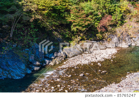 （埼玉縣）荒川道之驛/秋色中的大瀧溫泉地區 85765247