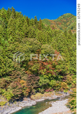 (Saitama Prefecture) Arakawa Roadside Station / Otaki Onsen area during the autumn colors 85765249