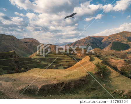Mountain terrain. High green hills complex mountain landscape, green terraces covered with sparse vegetation slopes. Dagestan 85765264