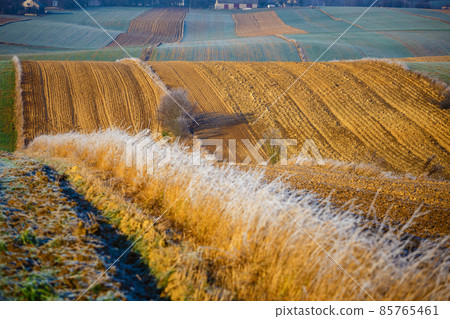 cultivated agricultural fields in autumn sunset. Colorful countryside patchwork 85765461
